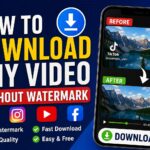 How to Download Any Video Without Watermark