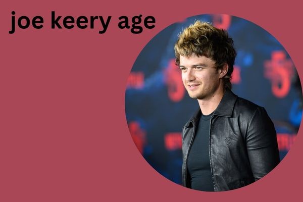 joe keery age